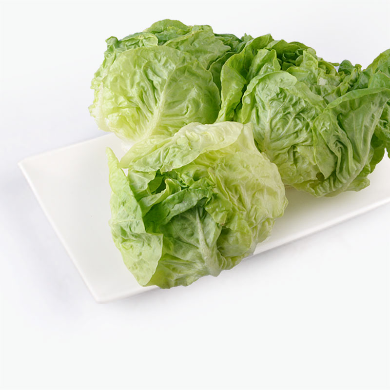 Butterhead Lettuce 500g