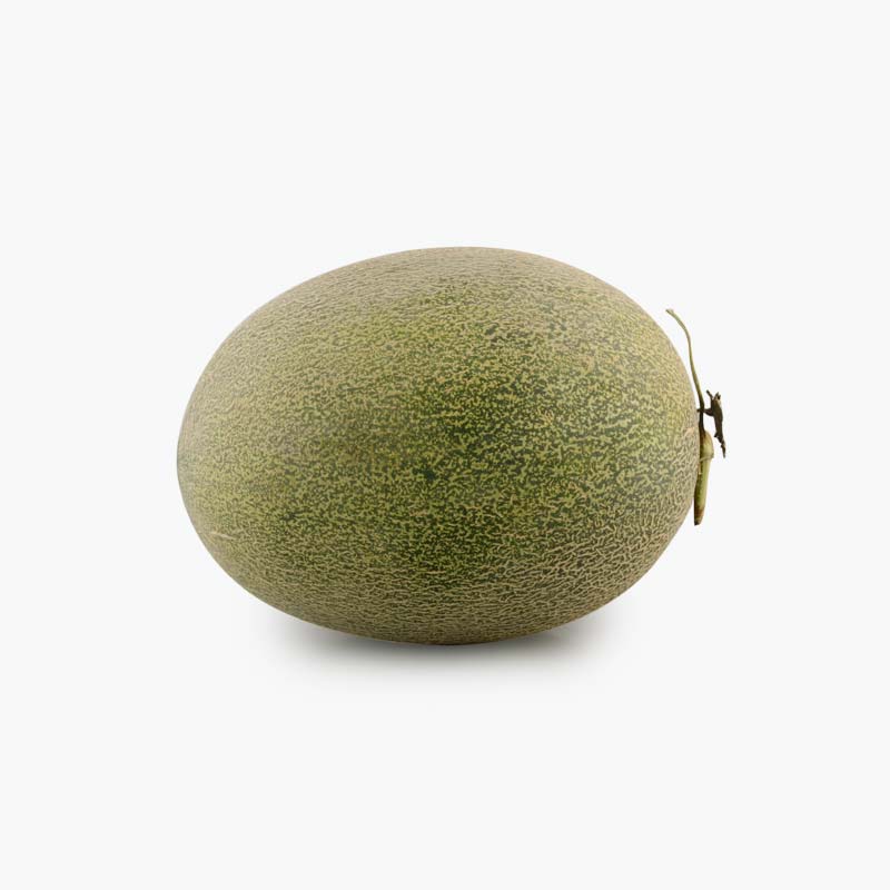 honeydew melon x1 2.5kg