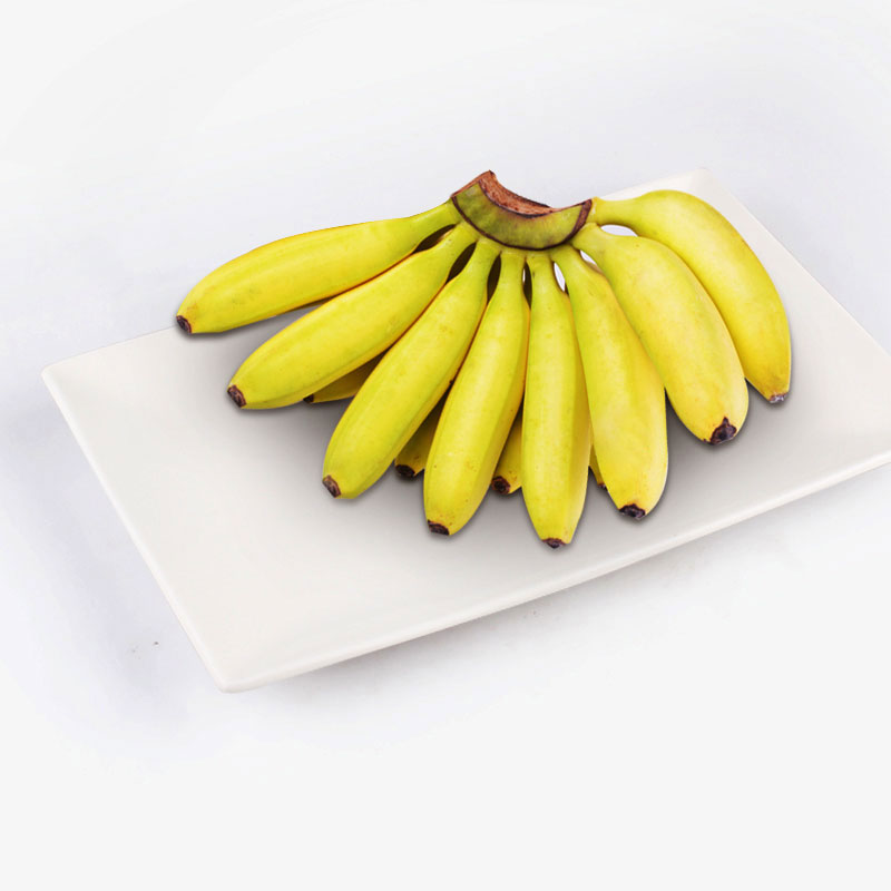 Lady Finger Bananas 475g525g