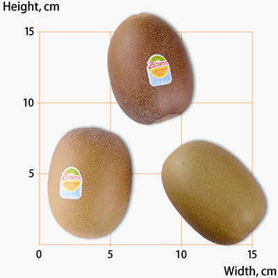 Zespri Jumbo SunGold Golden Kiwis 580g~600g 4pcs