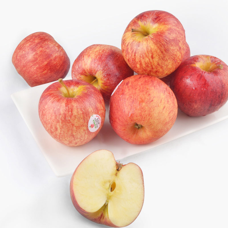 New Zealand Gala Apples 1.5kg1.6kg 8pcs